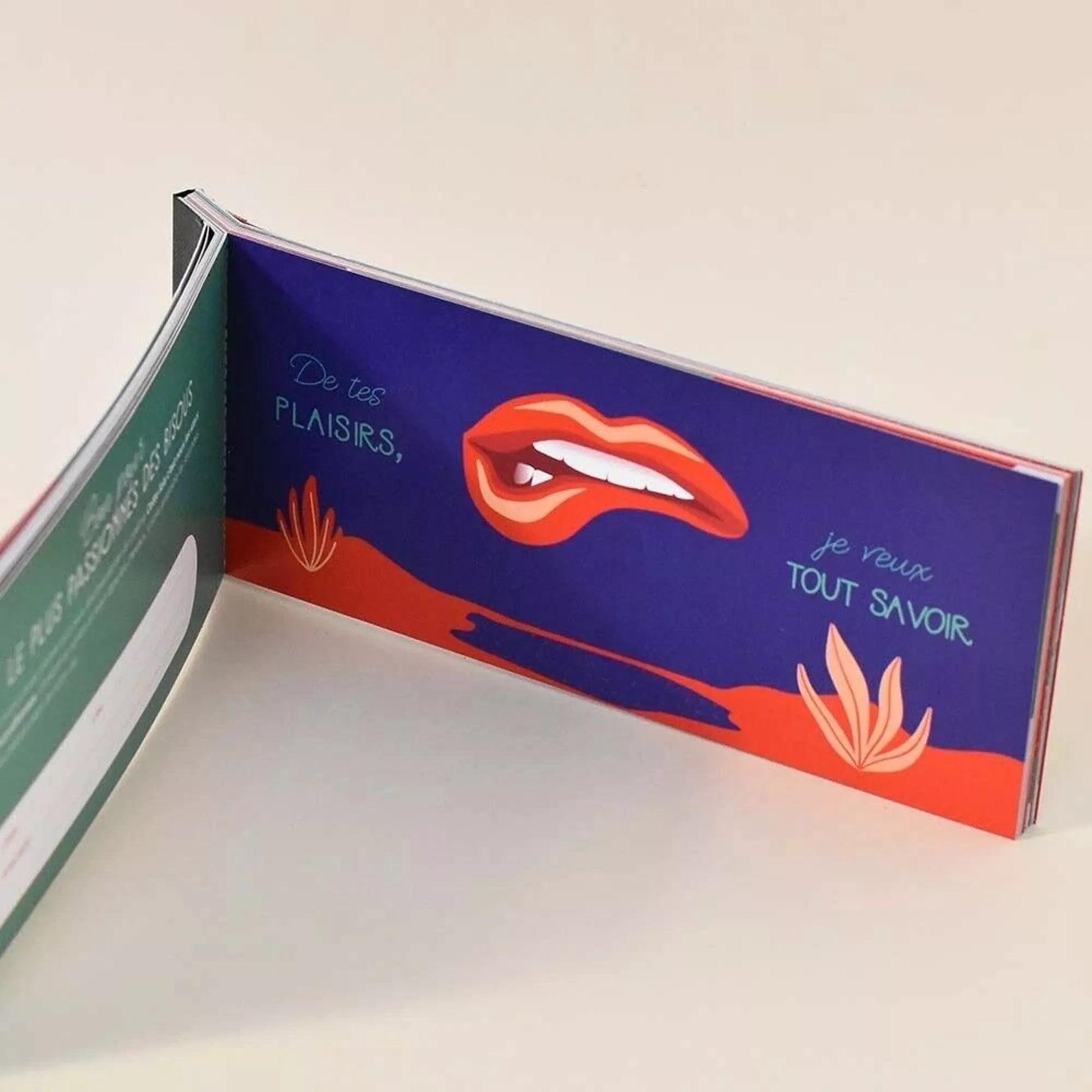 Intérieur du chéquier coquin Oparis avec une illustration sur un chèque "De tes plaisirs, je veux tout savoir".