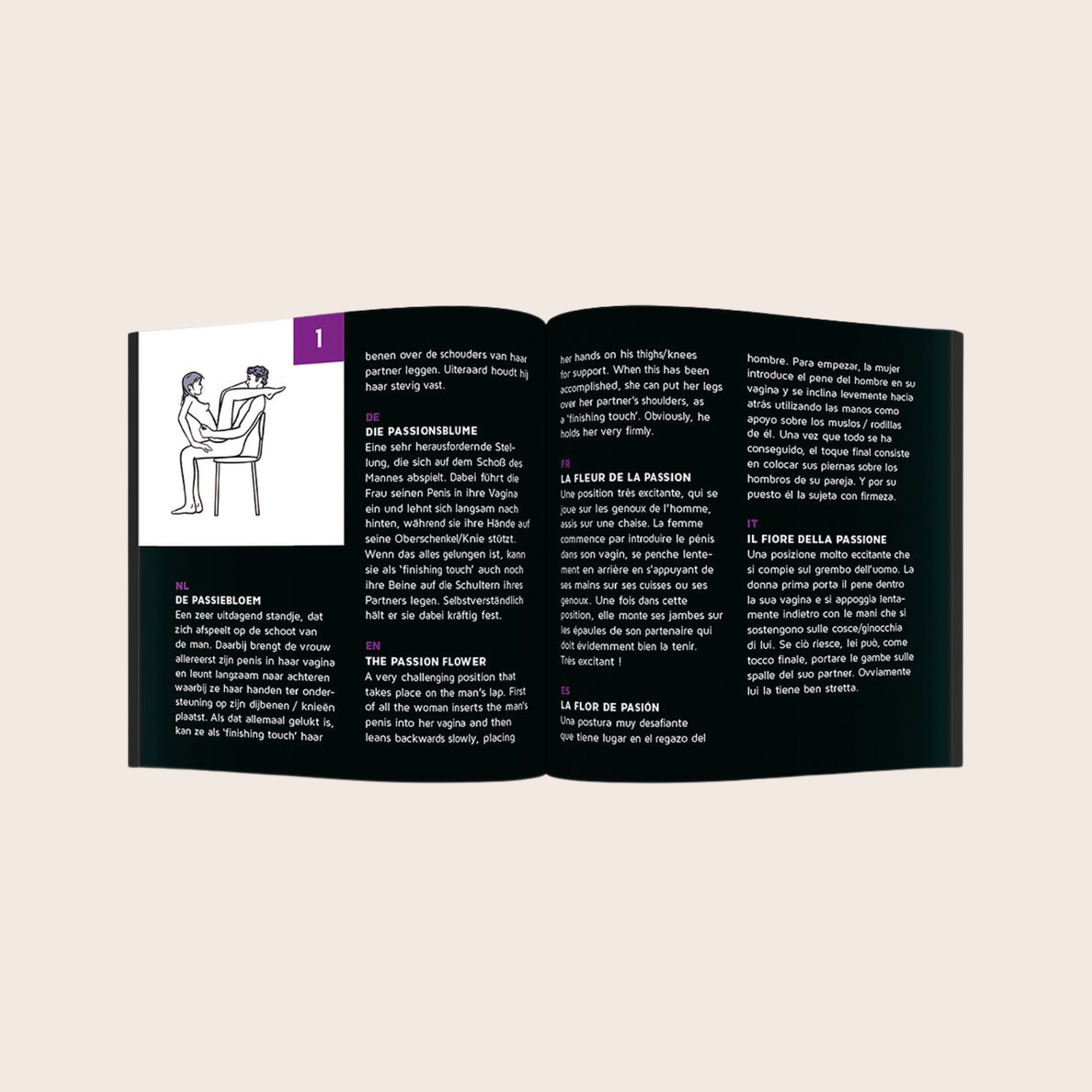 Page du carnet du jeu Sex Roulette Kamasutra montrant une position sexy