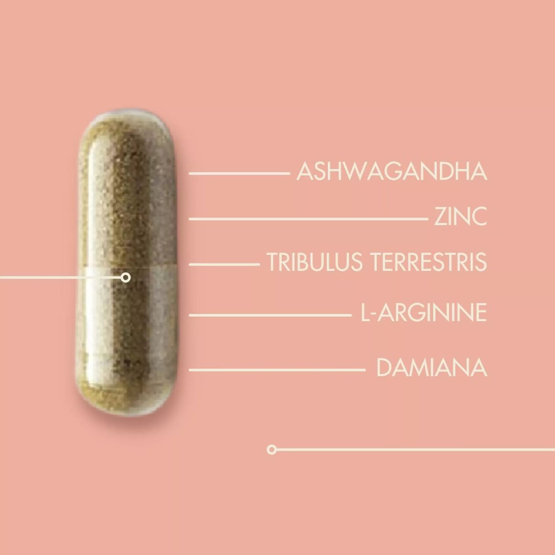 Orgasm Glow - Supplément alimentaire à base de plantes.Présentation de la gélule.