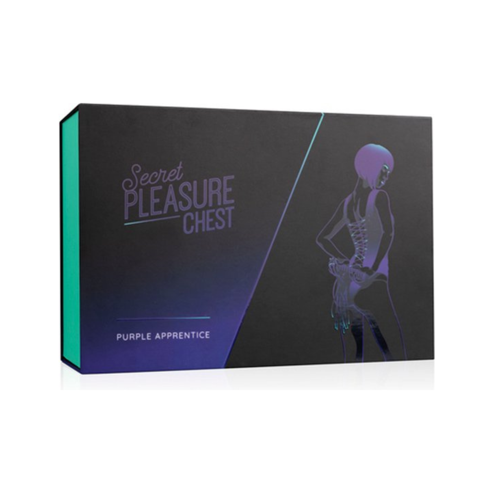Boîte du coffret BDSM Purple Apprentice – Loveboxxx