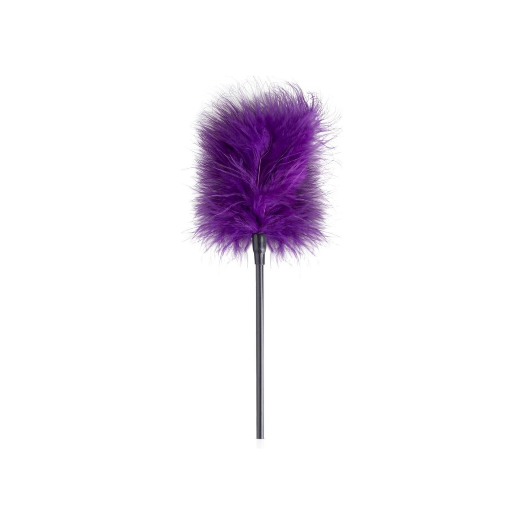 Plumeau chatouilleur pour stimulation sensorielle