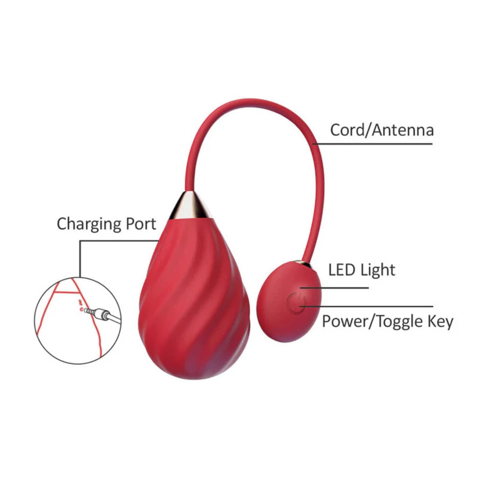 Oeuf vibrant rechargeable via câble USB – Magic Sundae
